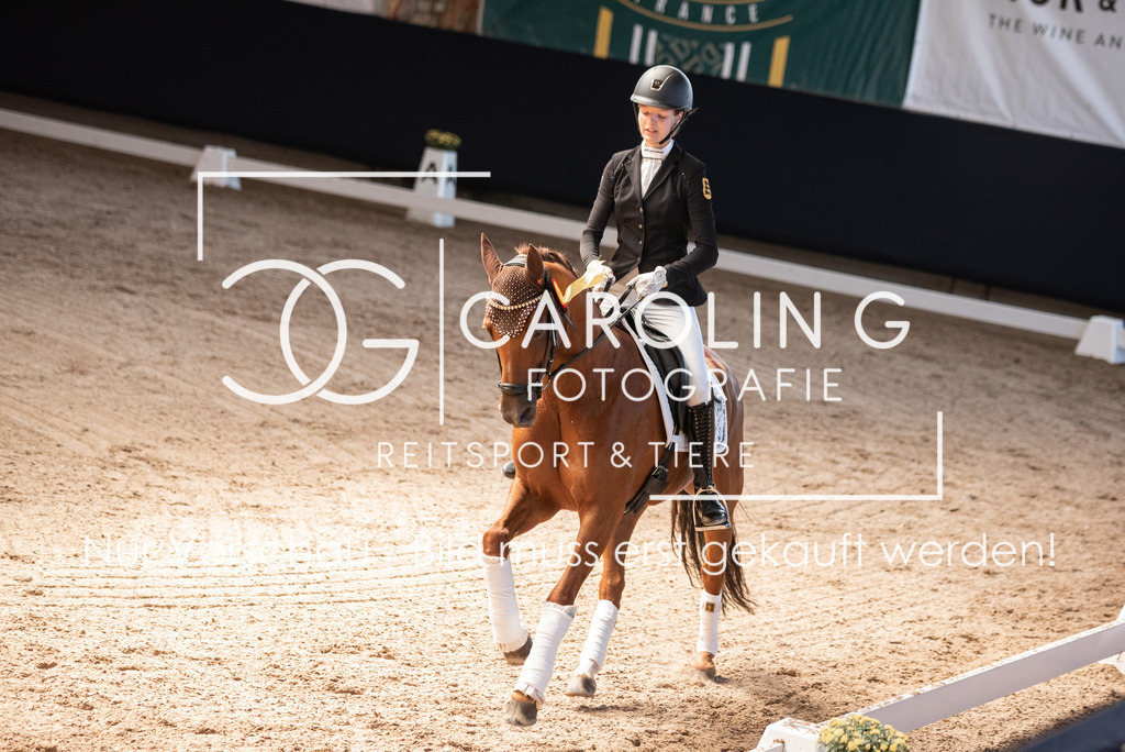 DSC_3525 | Carolin Gieschke