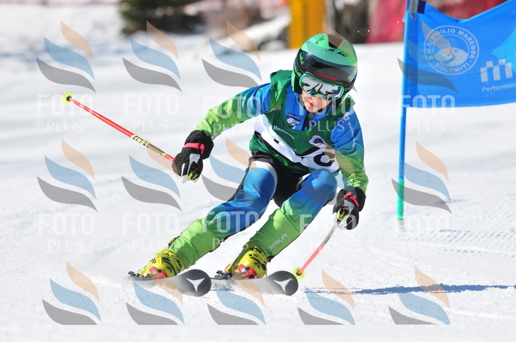 C3904 | holidayphoto