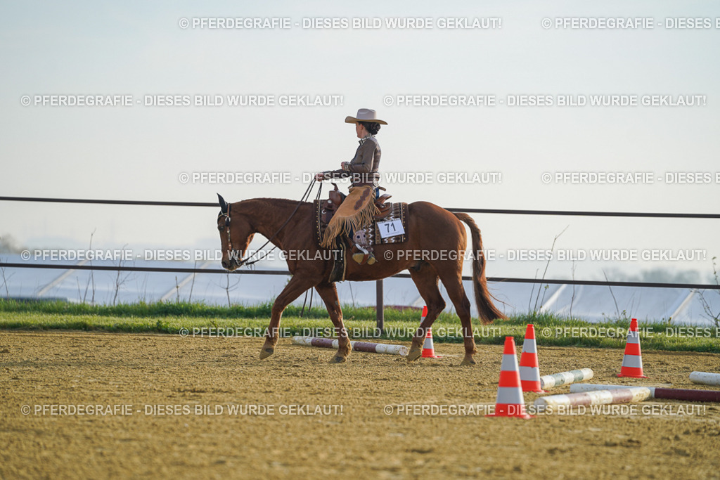 DSC09796 | Pferdegrafie