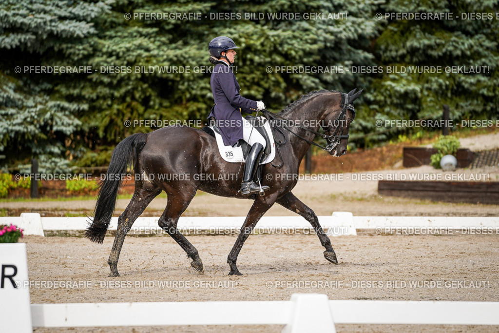 DSC09828 | Pferdegrafie