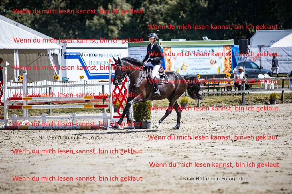 BK1A5197 | Turnierbilder Turnierfotos Nina Hüffmann Turnierfotografie Pferdefotografie Tierzeichnung Haustierzeichnung Pferdezeichnung Hundezeichnung Videograf  - Realisiert mit Pictrs.com