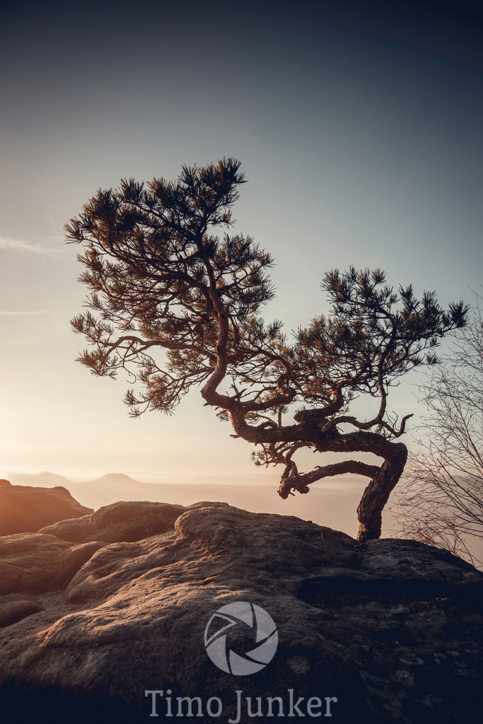 Shop_Landscapes-4581 | junker-foto - Realisiert mit Pictrs.com