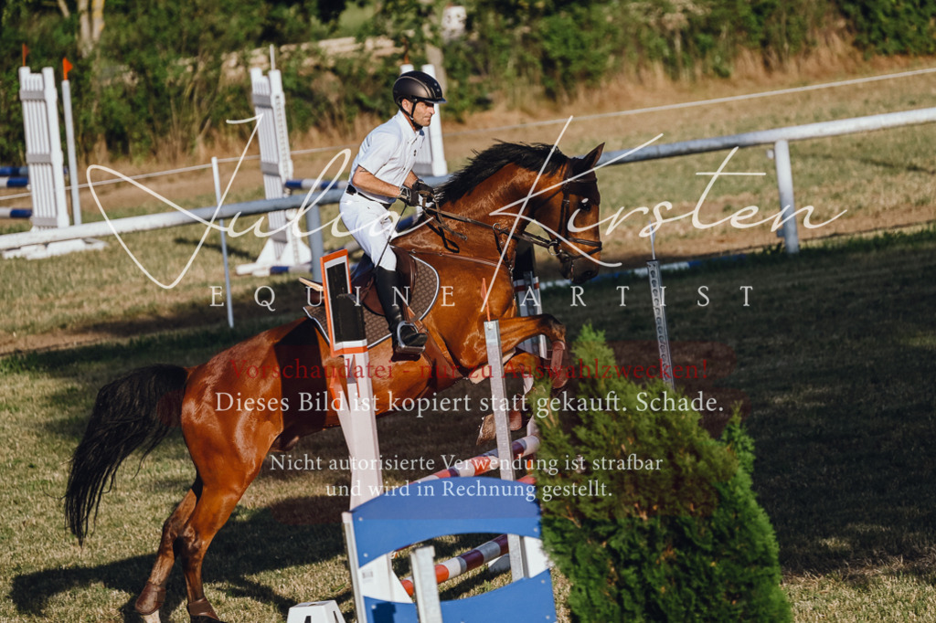 DSC_3271 | Pferde- und Turnierfotografie in Westsachsen. Pferdeportraits, Auftragszeichnungen und intuitive Kunst.
