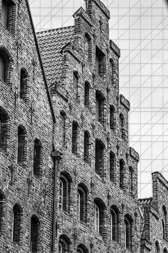 20221005132340D75_9818 | Kaufen sie online außergewöhnliche Fotografien auf Leinwand Acrylglas Fotoprint Aludibond von holgerweigeltfotografie - Realisiert mit Pictrs.com