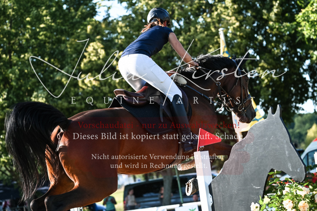DSC_2889 | Pferde- und Turnierfotografie in Westsachsen. Pferdeportraits, Auftragszeichnungen und intuitive Kunst.
