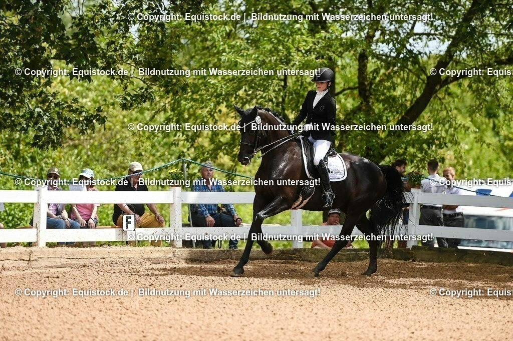 20230716_01_Dressurprüfung Kl.M_0019 | equistock