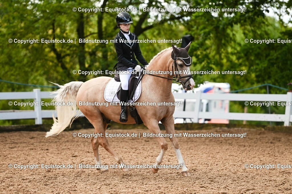 20230716_04_Dressurreiterprüfung Kl.A_0372 | equistock