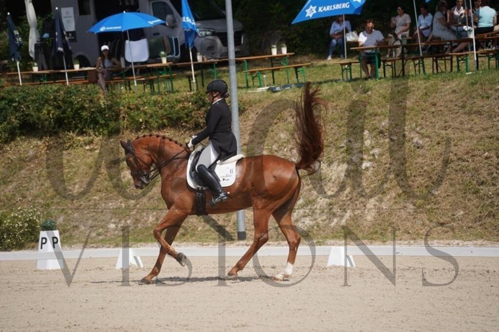 tbhsamstag (1453) | d.tail Visions - Shop - Realisiert mit Pictrs.com