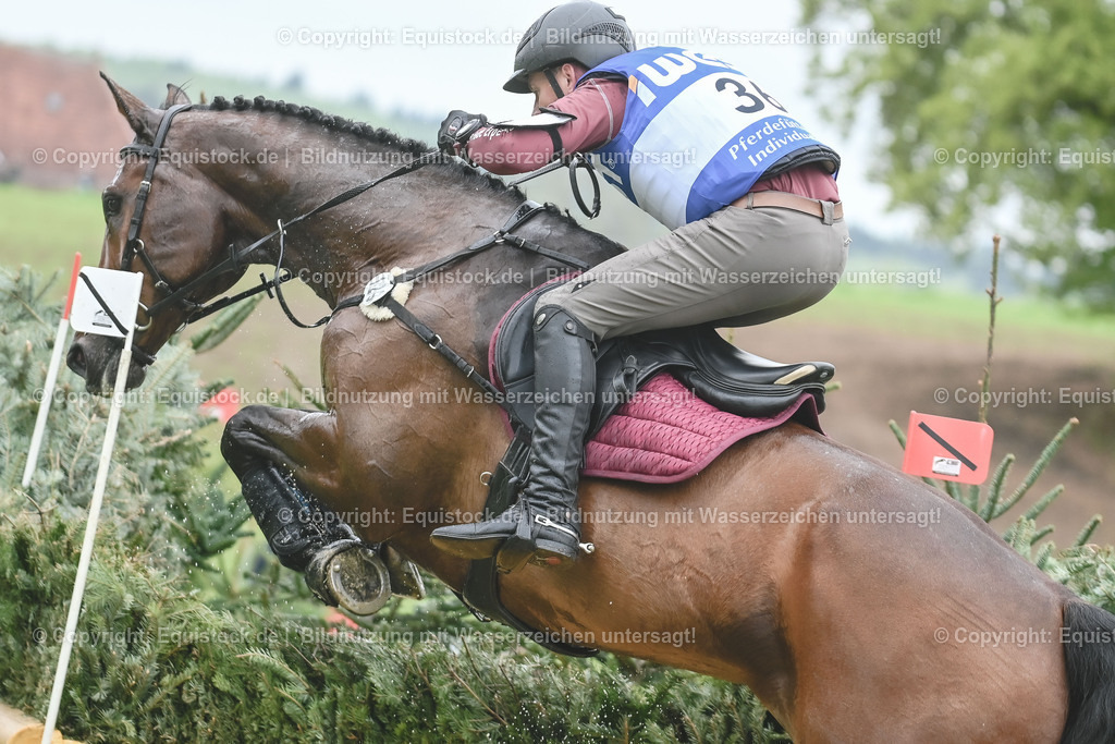 20230513_CCI4_Gelände_0442 | equistock