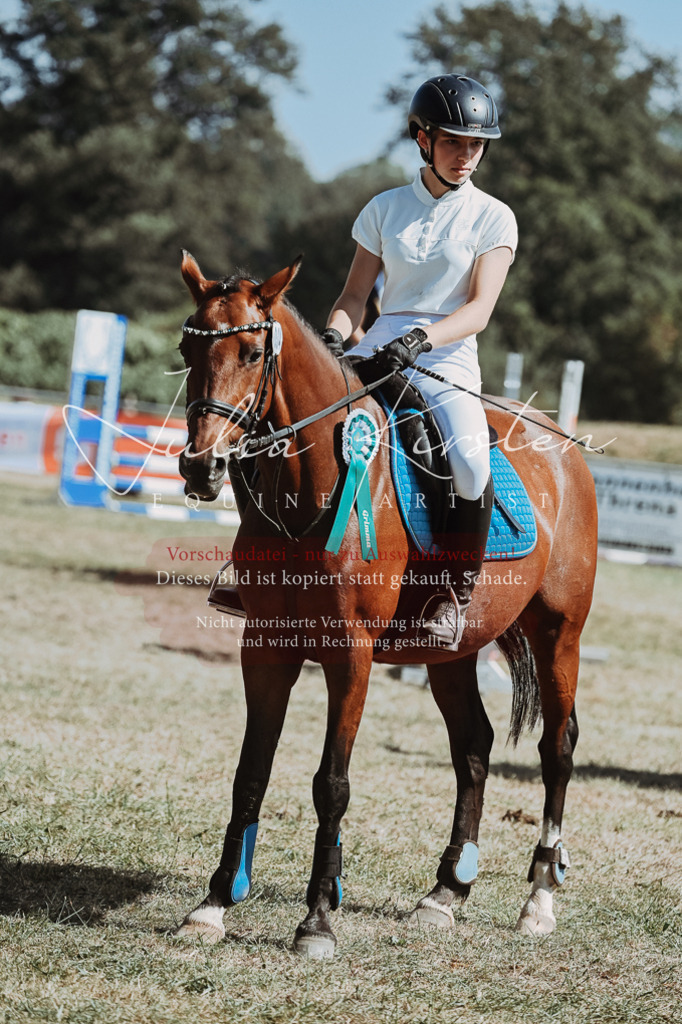 DSC_0100 | Pferde- und Turnierfotografie in Westsachsen. Pferdeportraits, Auftragszeichnungen und intuitive Kunst.