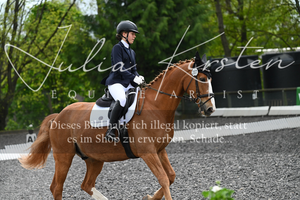 20230512_JK-Röhrsdorf-07-055 | Pferde- und Turnierfotografie in Westsachsen. Pferdeportraits, Auftragszeichnungen und intuitive Kunst.