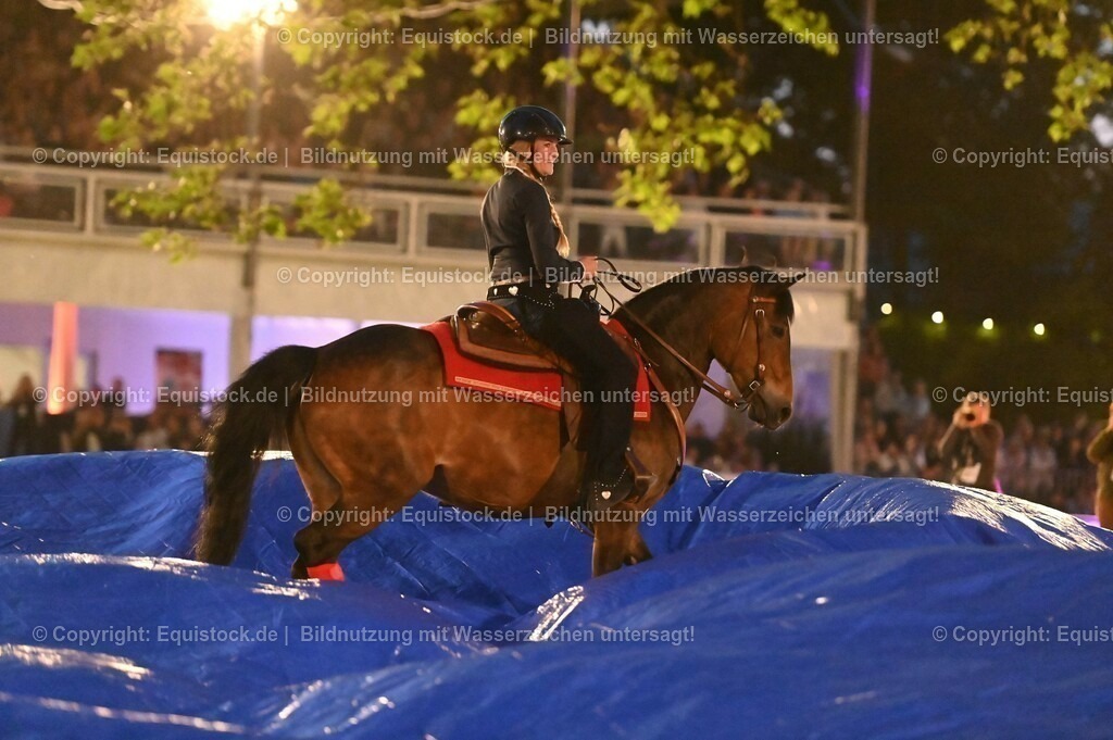 20230526_Pferdenacht_1021 | equistock