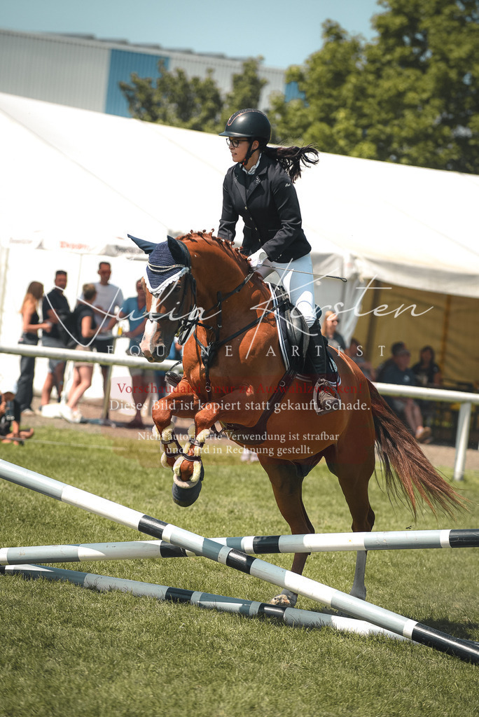 DSC_0021 | Pferde- und Turnierfotografie in Westsachsen. Pferdeportraits, Auftragszeichnungen und intuitive Kunst.