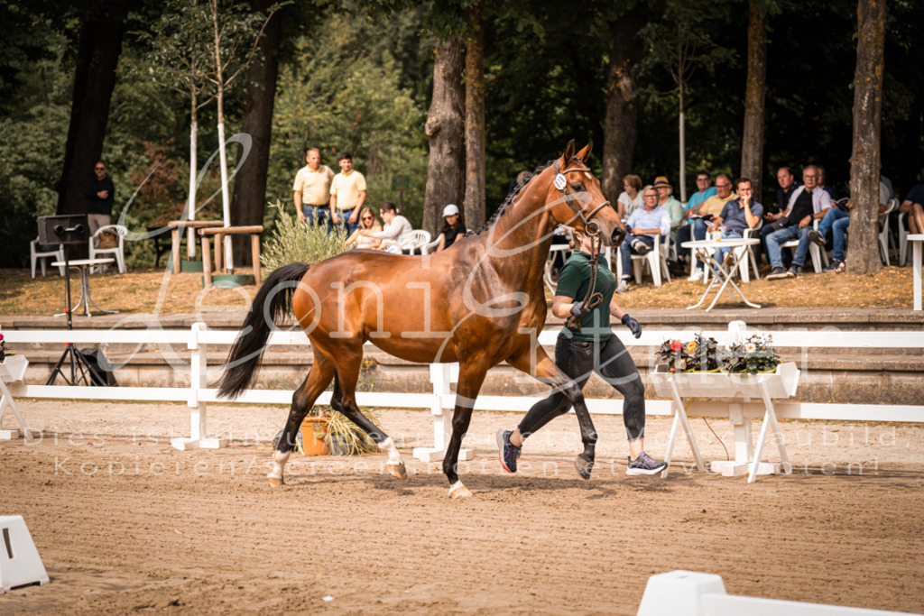 4.Fr00090 | Leoni Ertmer Photography - Realisiert mit Pictrs.com