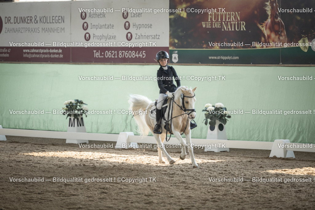 _D5A5673 | Emotionale Pferde- & People-Fotografie rund um Heidelberg, Leimen & Umgebung. Natürliche Fotos von Pferd, Mensch & Familie. Jetzt Termin sichern!