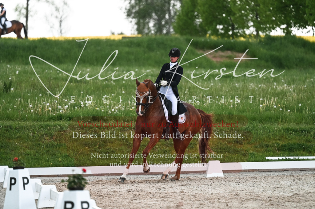 20230514_JK-Röhrsdorf-21-614 | Pferde- und Turnierfotografie in Westsachsen. Pferdeportraits, Auftragszeichnungen und intuitive Kunst.
