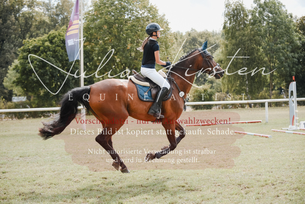 DSC_5514 | Pferde- und Turnierfotografie in Westsachsen. Pferdeportraits, Auftragszeichnungen und intuitive Kunst.