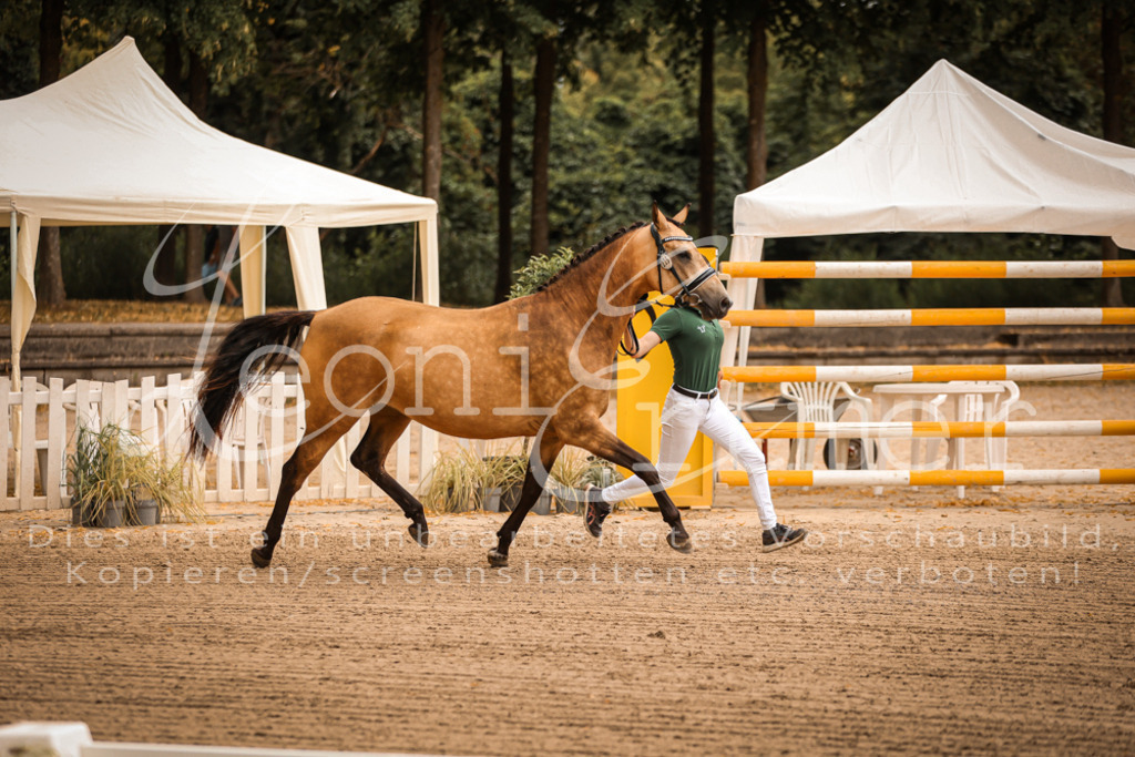 07.So00028 | Leoni Ertmer Photography - Realisiert mit Pictrs.com