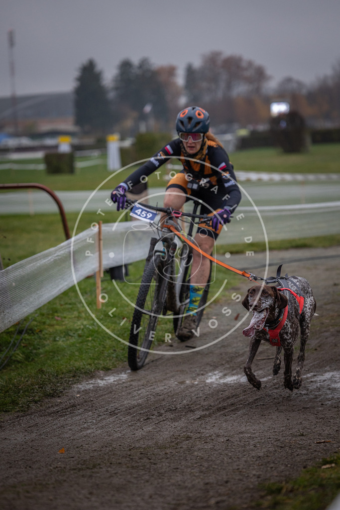 CaniXpix_0L8A1580 | Hundefotografie, Tierfotograf, Pfotenfotografie, Fotoshooting Hund, Hunde Portrait, Hundesport, Hundeportraits, Heideshooting, Hunde, Sportfotograf, Hundefotograf, Turnierhundsport, THS,  - Realisiert mit Pictrs.com