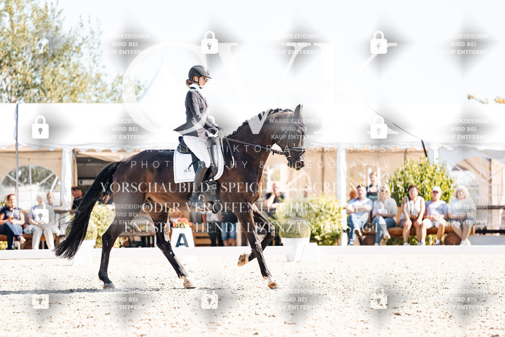 CK909426 | Turnierfotografie Pferdefotografie Trier Rheinland-Pfalz Pferdesport Reitsport Tierfotografie Sportfotografie Pferdevideo Pferdevideografie Equestrianvideography equestrianphotography  - Realisiert mit Pictrs.com