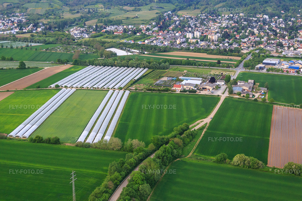 Luftbild: Lindenhof Blumen im Ortsteil Auerbach in Bensheim im Bundesland Hessen in Deutschland. Foto: IMG_088378.jpg vom 09.05.2016 durch Werner Riehm/FLY-FOTO.de