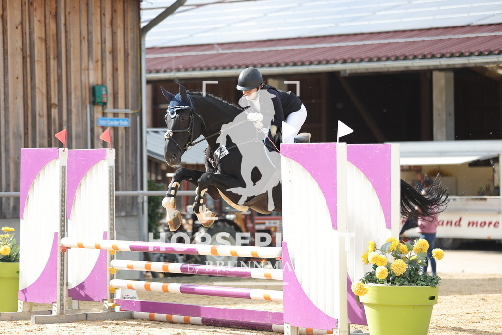 0P6A8574 | Willkommen bei Brunnmayr - Design & Fotografie – Ihrem Spezialisten für Reitturniere und Pferdeveranstaltungen in Oberösterreich, Salzburg und Bayern! Seit über 17 Jahren sind wir leidenschaftlich dabei.