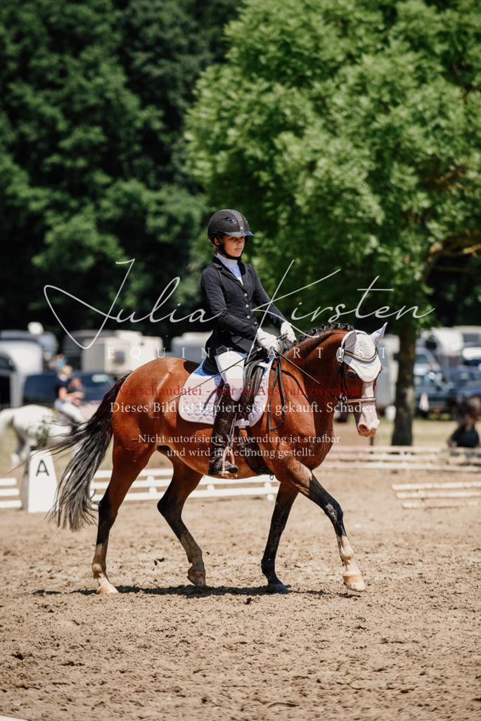 DSC_1935 | Pferde- und Turnierfotografie in Westsachsen. Pferdeportraits, Auftragszeichnungen und intuitive Kunst.