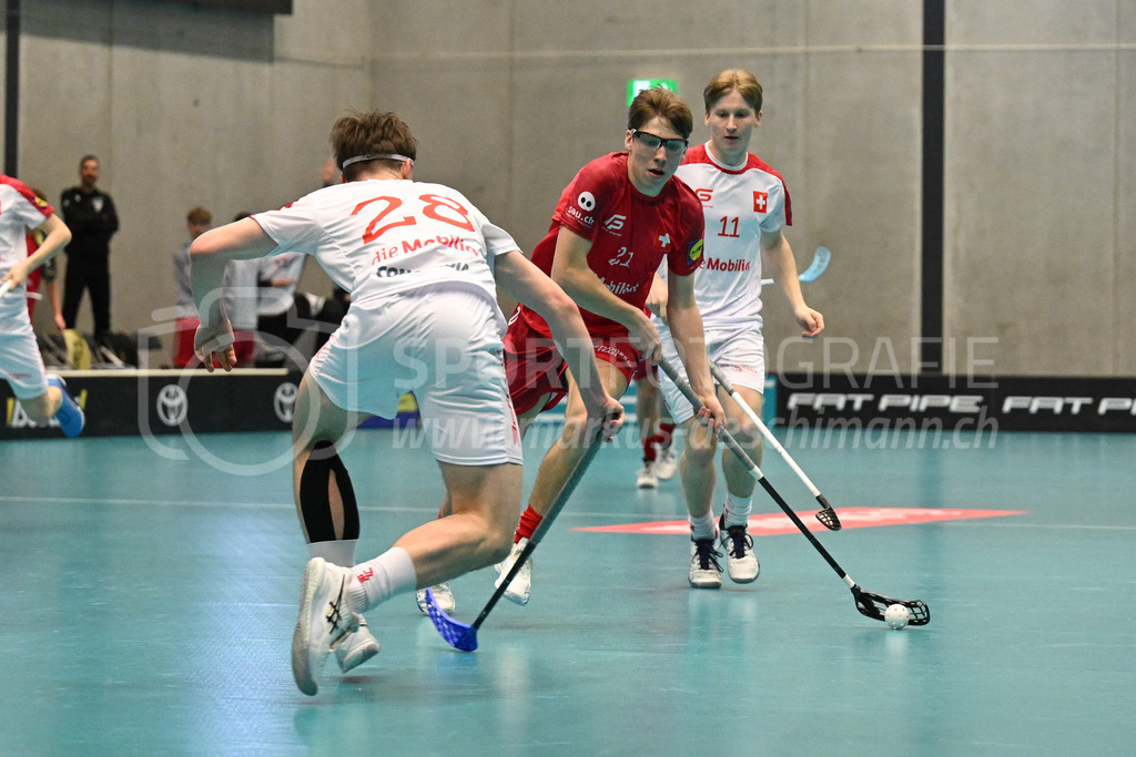 Switzerland B U19 vs Switzerland U19 - 4. February 2024 | Switzerland B U19 vs Switzerland U19
U19 Men International Matches in Switzerland
GoEasy Arena, Siggenthal Station
Switzerland forward #21 Nicola Hocevar.
Credit: Markus Aeschimann | <a href="https://www.markus-aeschimann.ch">Sportfotografie Markus Aeschimann</a> | <a href="https://www.instagram.com/sportfotografie.aeschimann">@sportfotografie.aeschimann</a> - Realisiert mit Pictrs.com