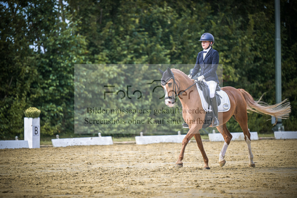 DOS_9957 | Entdecke hochwertige Reitturnierfotos von Foto Oger. Professionell, emotional und authentisch – jetzt Lieblingsmomente im Shop bestellen.Deutschlandweite Turnierfotografie. - Realisiert mit Pictrs.com