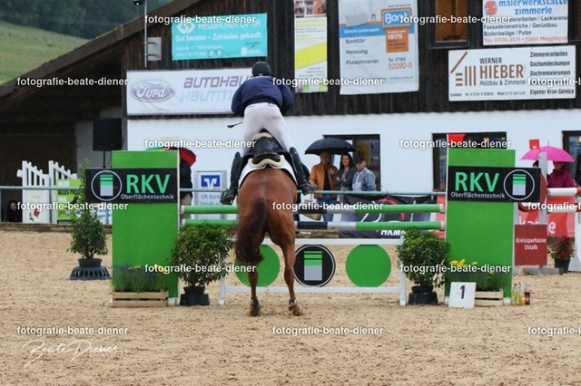 OHT2271 | Fotografie, Tiere, Hunde, Katzen, Pferde, Sportfotografie, Fotosession, Tierfotografie, Turnierfotografie, Fotografin, Fotograf - Realisiert mit Pictrs.com