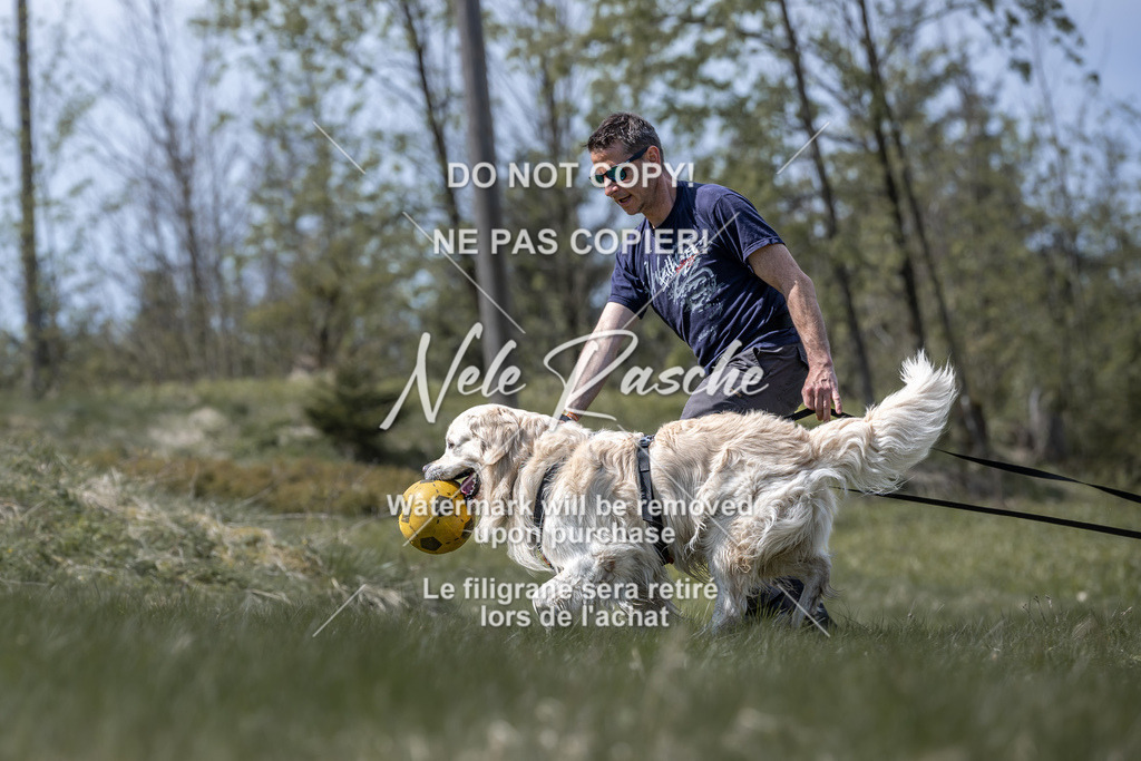 6Z1A0934 | nelerasche