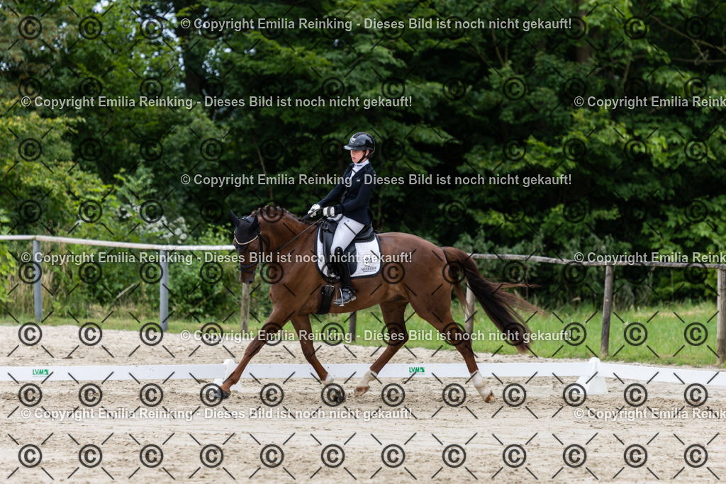 CL5A8256 | Emilia Reinking Fotografie - Realisiert mit Pictrs.com