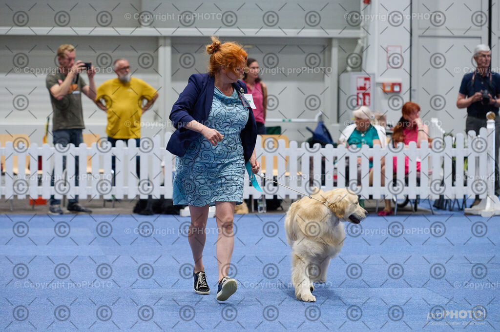 202406_ÖKV-IHA-Tulln24_DSC_3159 | proPHOTO - Realisiert mit Pictrs.com