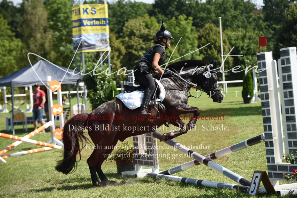 DSC_0362 | Pferde- und Turnierfotografie in Westsachsen. Pferdeportraits, Auftragszeichnungen und intuitive Kunst.