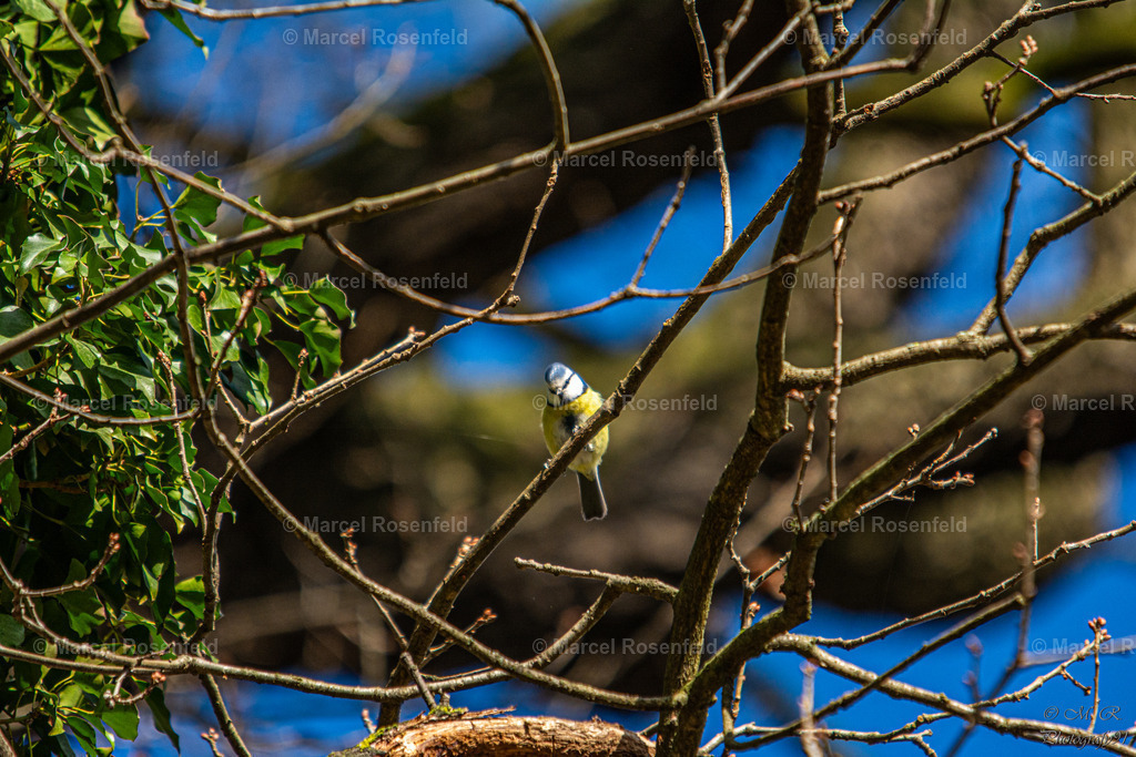 _DSC2567 | foto-rosenfeld