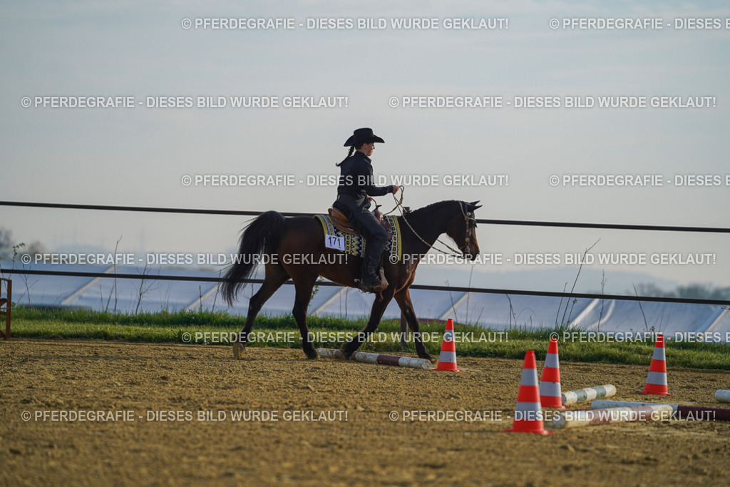 DSC00441 | Pferdegrafie