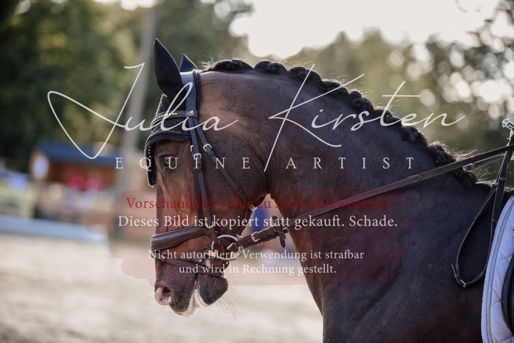 DSC_0635 | Pferde- und Turnierfotografie in Westsachsen. Pferdeportraits, Auftragszeichnungen und intuitive Kunst.