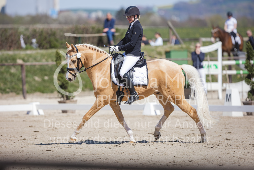 220418_L-Dressur-275 | Frühlingsfest der Pferde
Herford
18.April 2022
Dressurprfg. Kl.L* - Tr. L2ausw. geschlossen