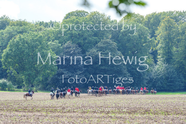 Jagd Perdoel 26 Sony-04141_MarinaHewig | Fotografie, FotoArt, PferdesportArt, Pferdesportfotografie, Landschaftsfotografie, Reisefotografie, Reise, Pferde - Realisiert mit Pictrs.com