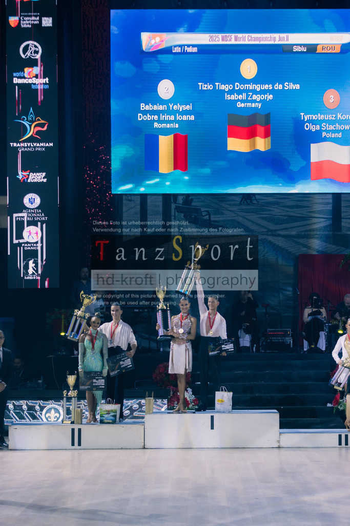 IMG_8668 | Tanzsportbilder, Standardtanz, Lateintanz, WDSF, DTV, LTVB, dancecomp, goc, hessen tanzt, blaues band der spree, walzer, tango, wiener walzer, slowfox, quickstepp, samba, rumba, cha-cha-cha, paso doble. jive, hd-kroft photography, turniertanzsport