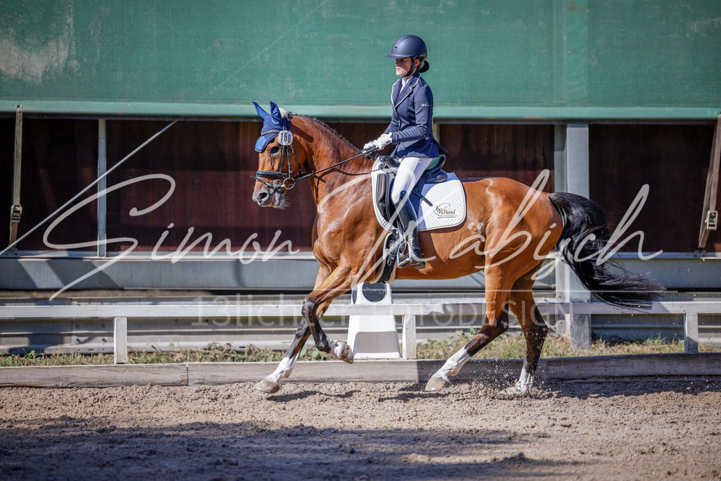 20250906-_3LI3498 | Tierfotografie Pferde, Hunde, Katzen, Haustiere.
Turnierfotografie Reitturniere, Reiten, Springreiten, Dressur in Hanau, dem Main-Kinzig-Kreis und dem Rhein-Main- Gebiet um Frankfurt
