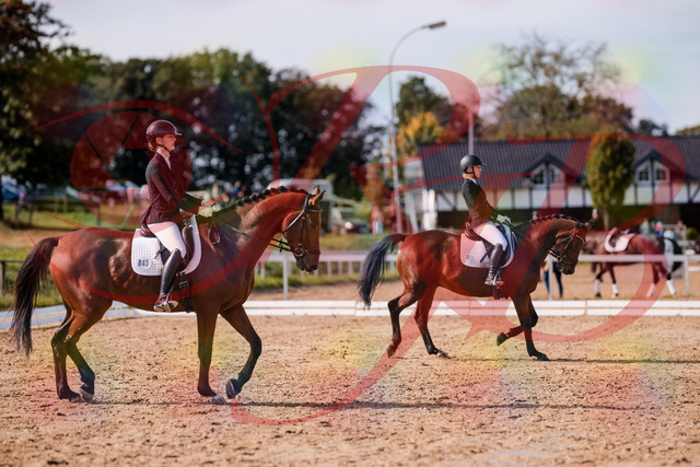 2026_10_03_Siefer-Hof_130839_Z81_61298270 | Professionelle Reitsport-, Turnier- und Eventfotografie von Robert Broda. Galerien mit ausgewählten und bearbeiteten Bildern direkt online ansehen und bestellen.