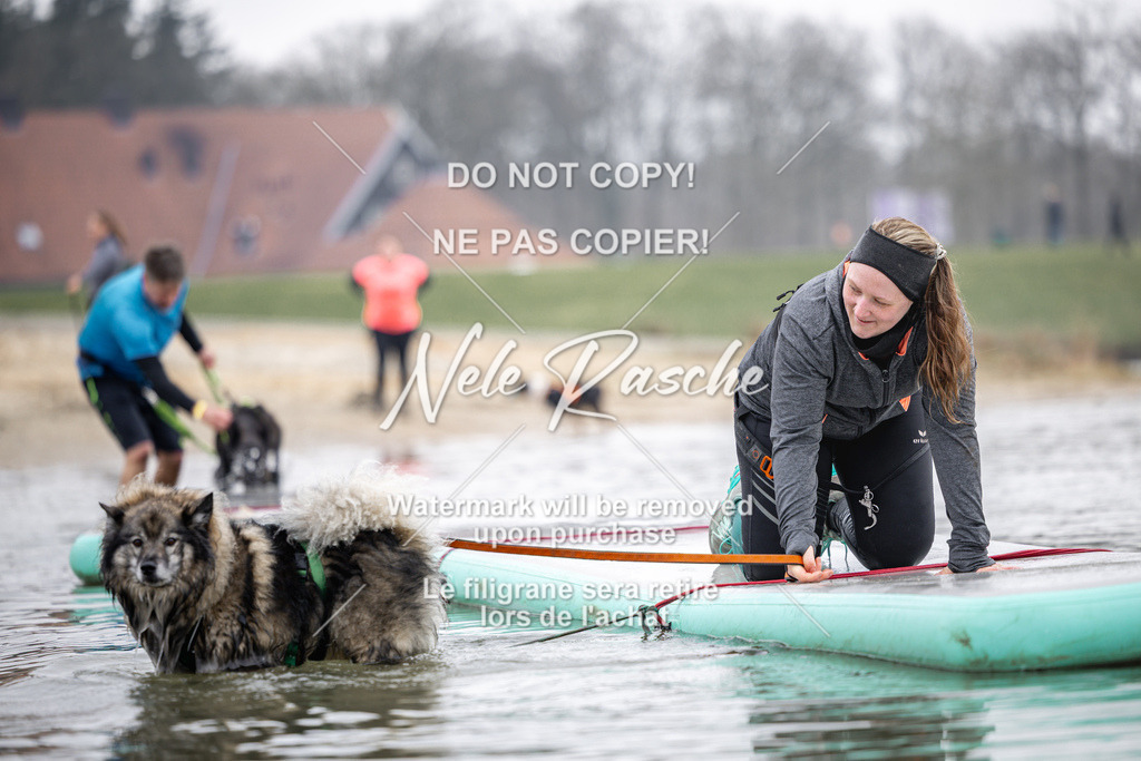 nelerasche_Hulsbeek_Sa1100-1130_669 | nelerasche