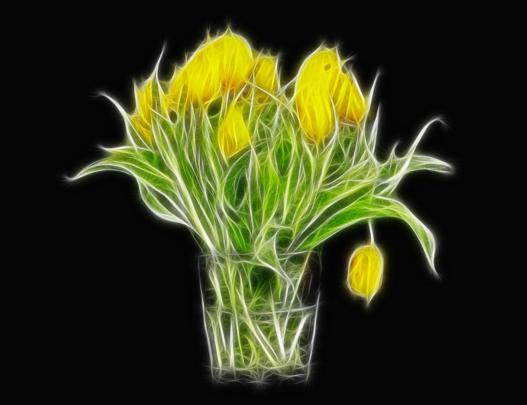 2009_01_26 Tulpe2 | bridgeman - Realisiert mit Pictrs.com
