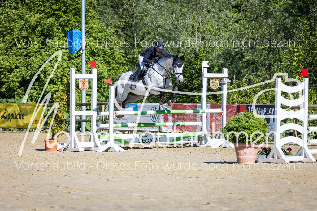 Donop24-A2Spr-061 | MomenTaufnahmen Pferdesportfotos