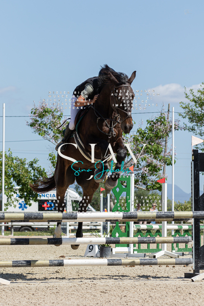 IMG_0710 | s-jay-photography - Realisiert mit Pictrs.com