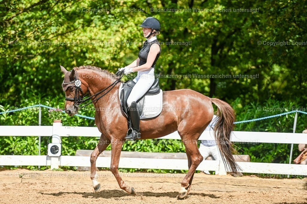 20230716_01_Dressurprüfung Kl.M_0335 | equistock