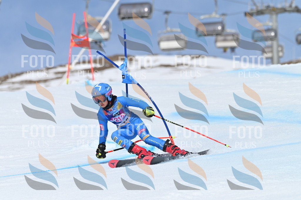 BGV_1171 | holidayphoto