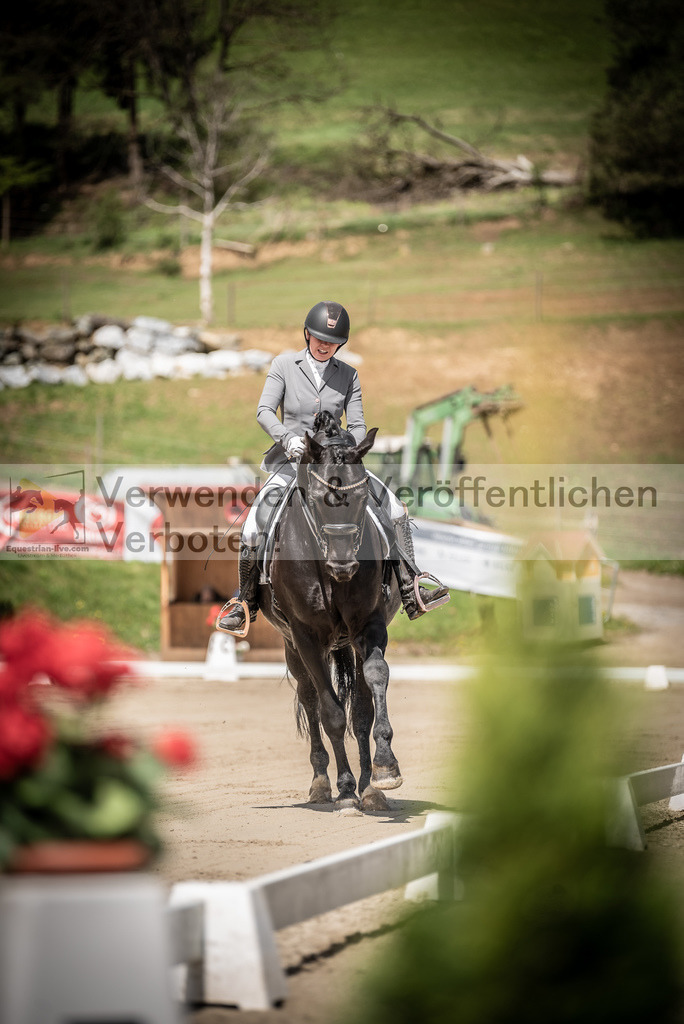 DSC_1389 | equestrian-live-com
