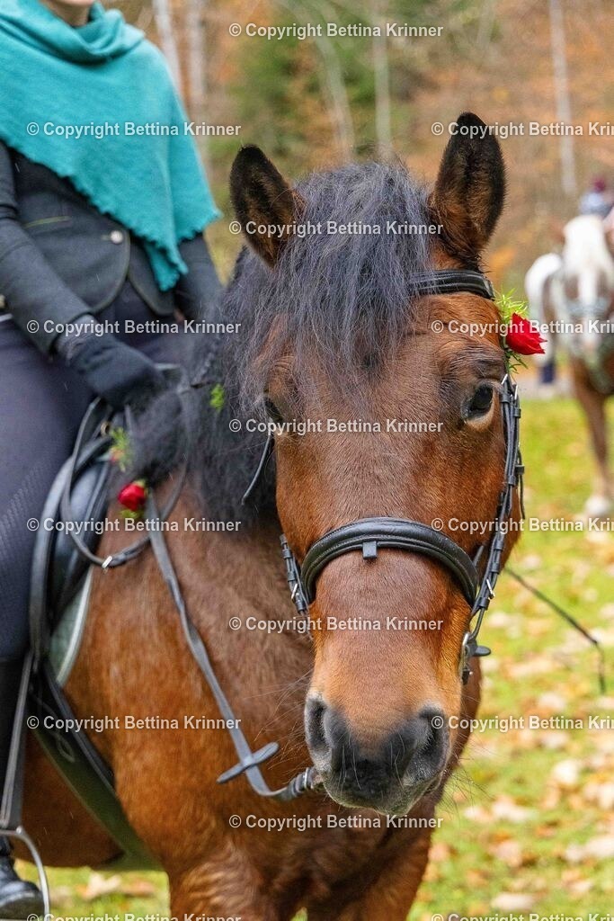 LL25-197 | foto-bettina-krinner - Realisiert mit Pictrs.com